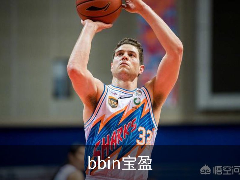 bbin宝盈介绍